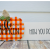 Hello Pumpkin lifestyle 01 low res