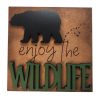 Enjoy the Wildlife With Bear 00 Enjoy the Wildlife With Bear 00
