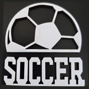 Soccer Ball on Black